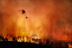 Fire fighting helicopter carry water bucket to extinguish the fo